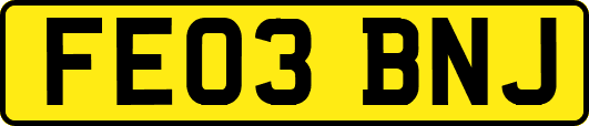 FE03BNJ