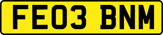 FE03BNM