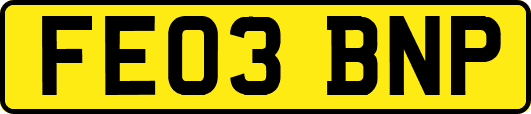 FE03BNP
