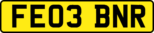 FE03BNR