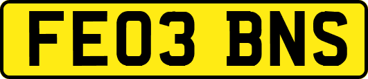 FE03BNS