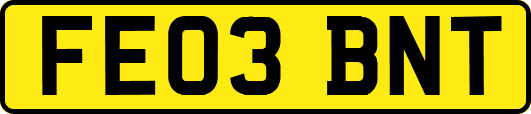 FE03BNT