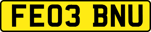 FE03BNU