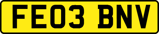 FE03BNV