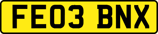 FE03BNX