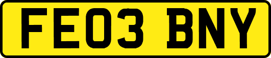 FE03BNY