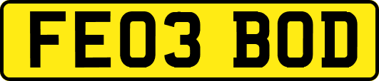 FE03BOD