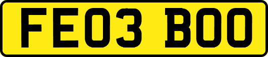 FE03BOO