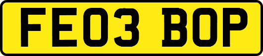 FE03BOP