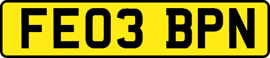 FE03BPN