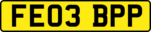 FE03BPP