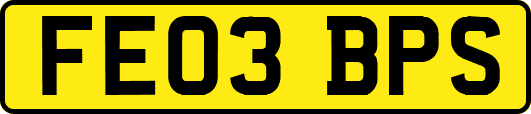 FE03BPS