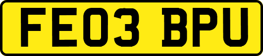 FE03BPU