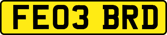 FE03BRD
