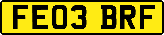 FE03BRF
