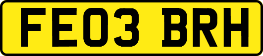 FE03BRH