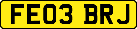 FE03BRJ