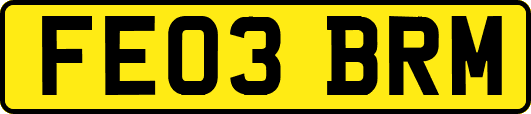 FE03BRM