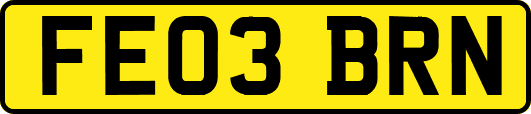 FE03BRN