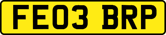 FE03BRP
