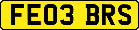 FE03BRS