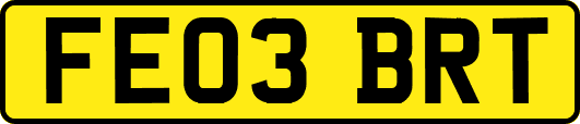 FE03BRT