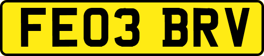 FE03BRV