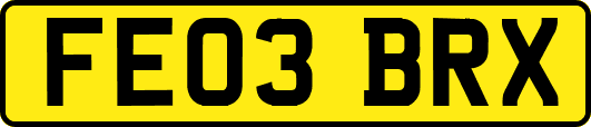 FE03BRX