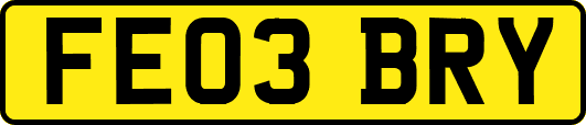 FE03BRY