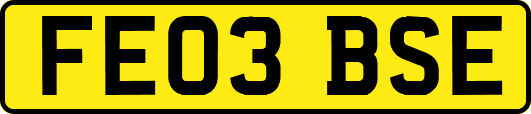 FE03BSE