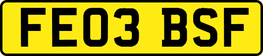 FE03BSF