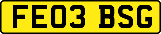 FE03BSG