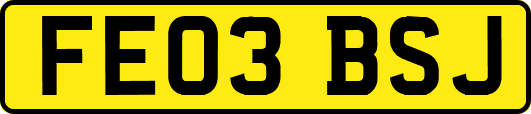 FE03BSJ
