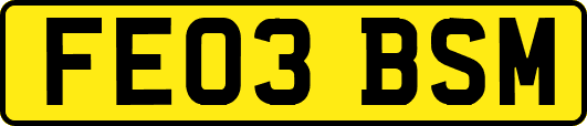 FE03BSM