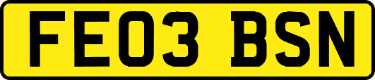 FE03BSN