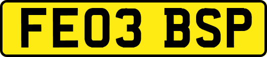 FE03BSP