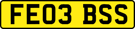 FE03BSS