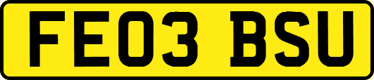FE03BSU