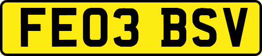 FE03BSV