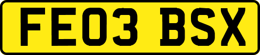 FE03BSX