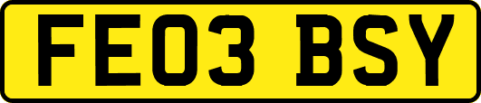 FE03BSY