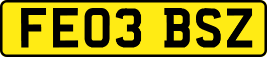 FE03BSZ