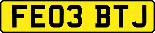 FE03BTJ