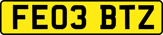 FE03BTZ