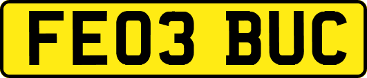FE03BUC