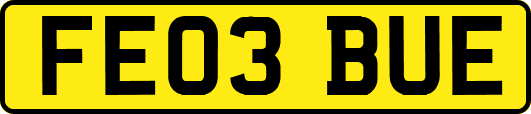 FE03BUE