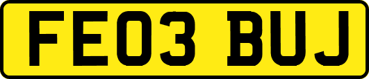 FE03BUJ