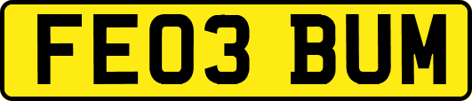 FE03BUM