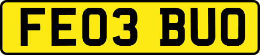 FE03BUO