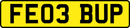 FE03BUP